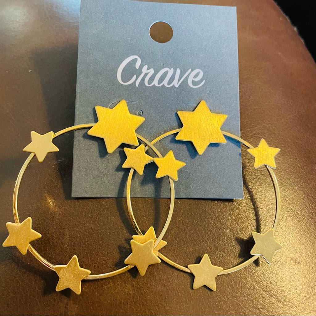 Crave Earrings 9$